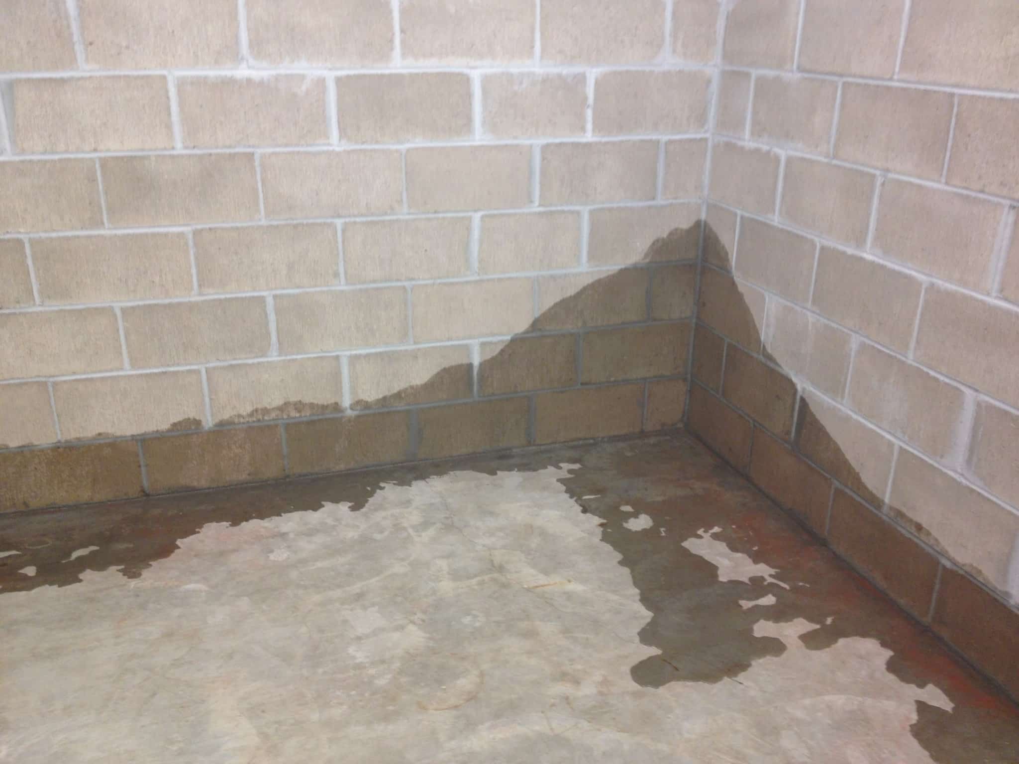 StayDry® Releases Guide on Methods to Address Leaky Basements for Michigan Homeowners